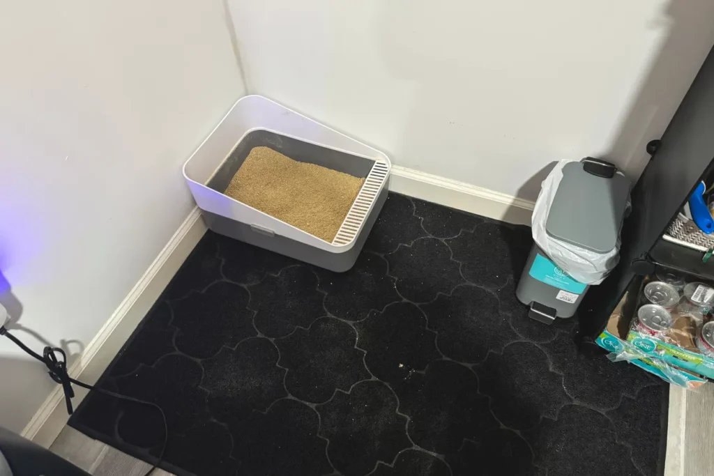 The 7 Best Cat Litter Mats for a Cleaner Home (Tested by Real Cats) 19 Two cats standing on Cosyearn litter mat after using the litter box