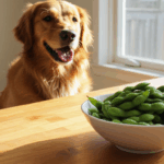 Can Dogs Eat Edamame? A Healthy Treat or a Risky Snack?