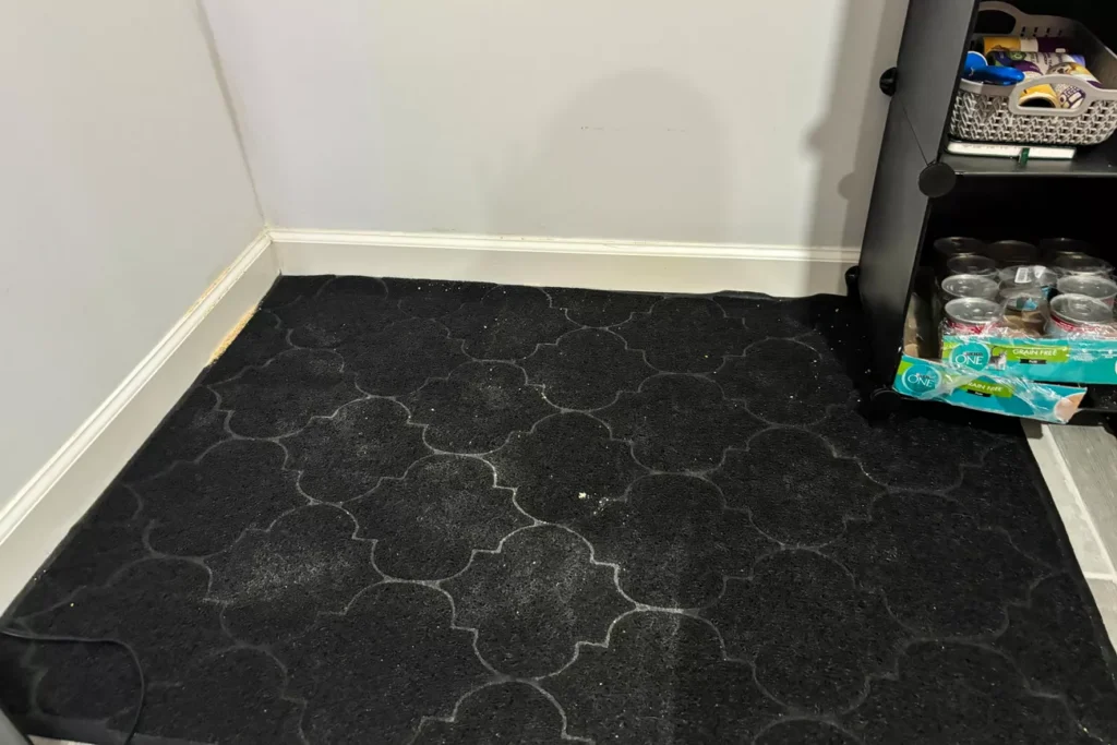 The 7 Best Cat Litter Mats for a Cleaner Home (Tested by Real Cats) 21 Durable and oversized Cosyearn mat for active multi-cat families
