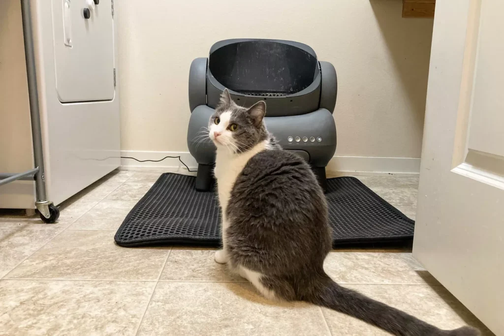 The 7 Best Cat Litter Mats for a Cleaner Home (Tested by Real Cats) 35 Double-layer iPrimio litter mat designed to trap litter and simplify cleaning