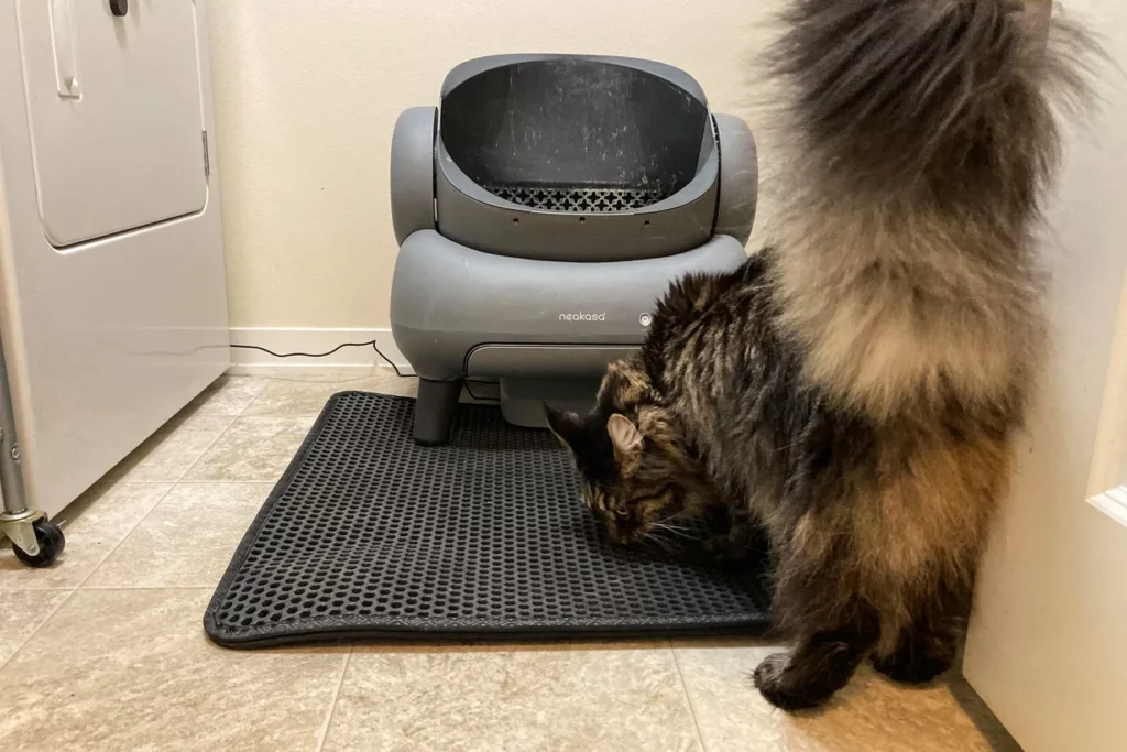 The 7 Best Cat Litter Mats for a Cleaner Home (Tested by Real Cats) 36 Soft iPrimio cat litter mat offers gentle protection for cats with tender paws