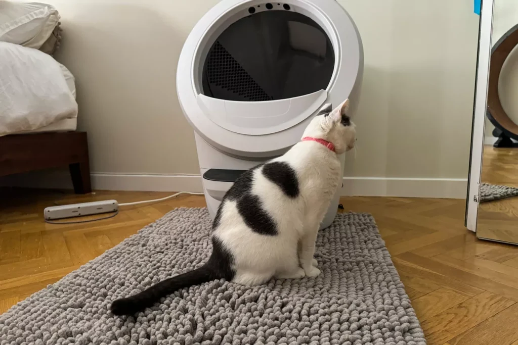 The 7 Best Cat Litter Mats for a Cleaner Home (Tested by Real Cats) 11 Gray CatGuru litter mat on tile floor in a modern home