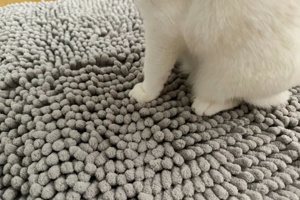 The 7 Best Cat Litter Mats for a Cleaner Home (Tested by Real Cats) 10 Cat walking across CatGuru litter mat near litter box
