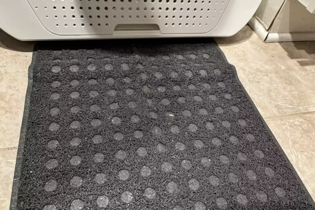 The 7 Best Cat Litter Mats for a Cleaner Home (Tested by Real Cats) 5 sps catit litter mat rectangle jodi espinosa 1