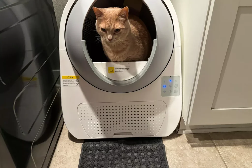 The 7 Best Cat Litter Mats for a Cleaner Home (Tested by Real Cats) 3 sps catit litter mat rectangle jodi espinosa 3